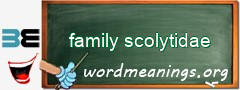 WordMeaning blackboard for family scolytidae